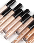 Inglot All Covered Concealer, all shades
