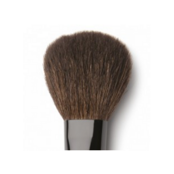 HD Brows POWDER BRUSH