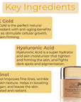 Key ingredients of GLO24K Recharging 24k PM Night Cream