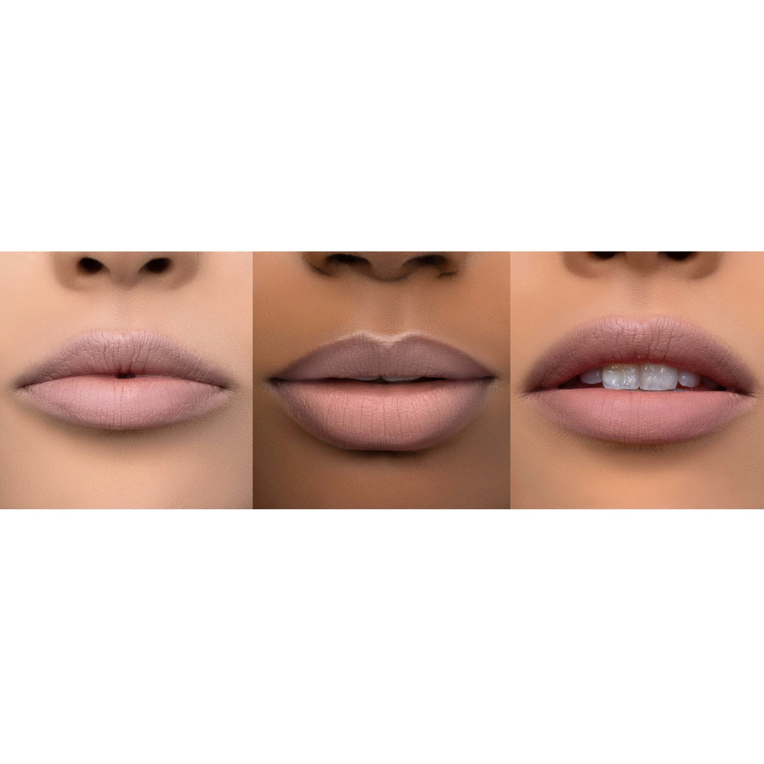 Scott Barnes Atelier Lip Liner - Claudia swatch