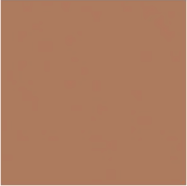 CINEMA SECRETS Dual Finish Foundation Indian Clay