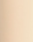 DOLL FACE Studio Blend Cover Foundation FH095