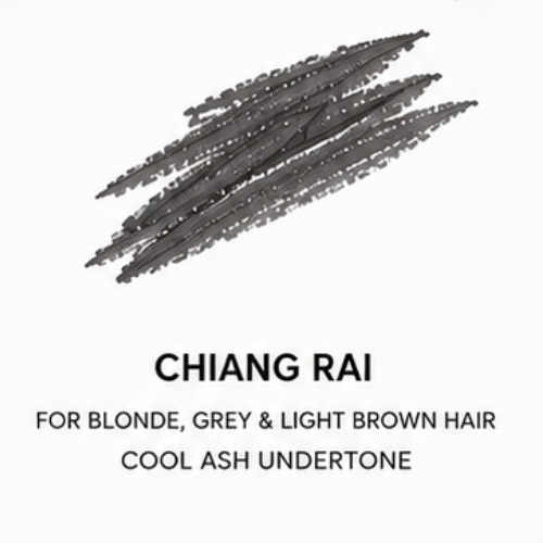 Dominic Paul Brow Pencil - Chiang Rai swatch