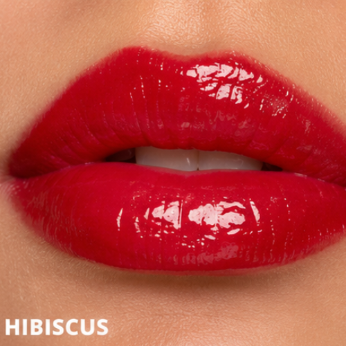 Dominic Paul Lip Glaze lip swatch in Hibiscus