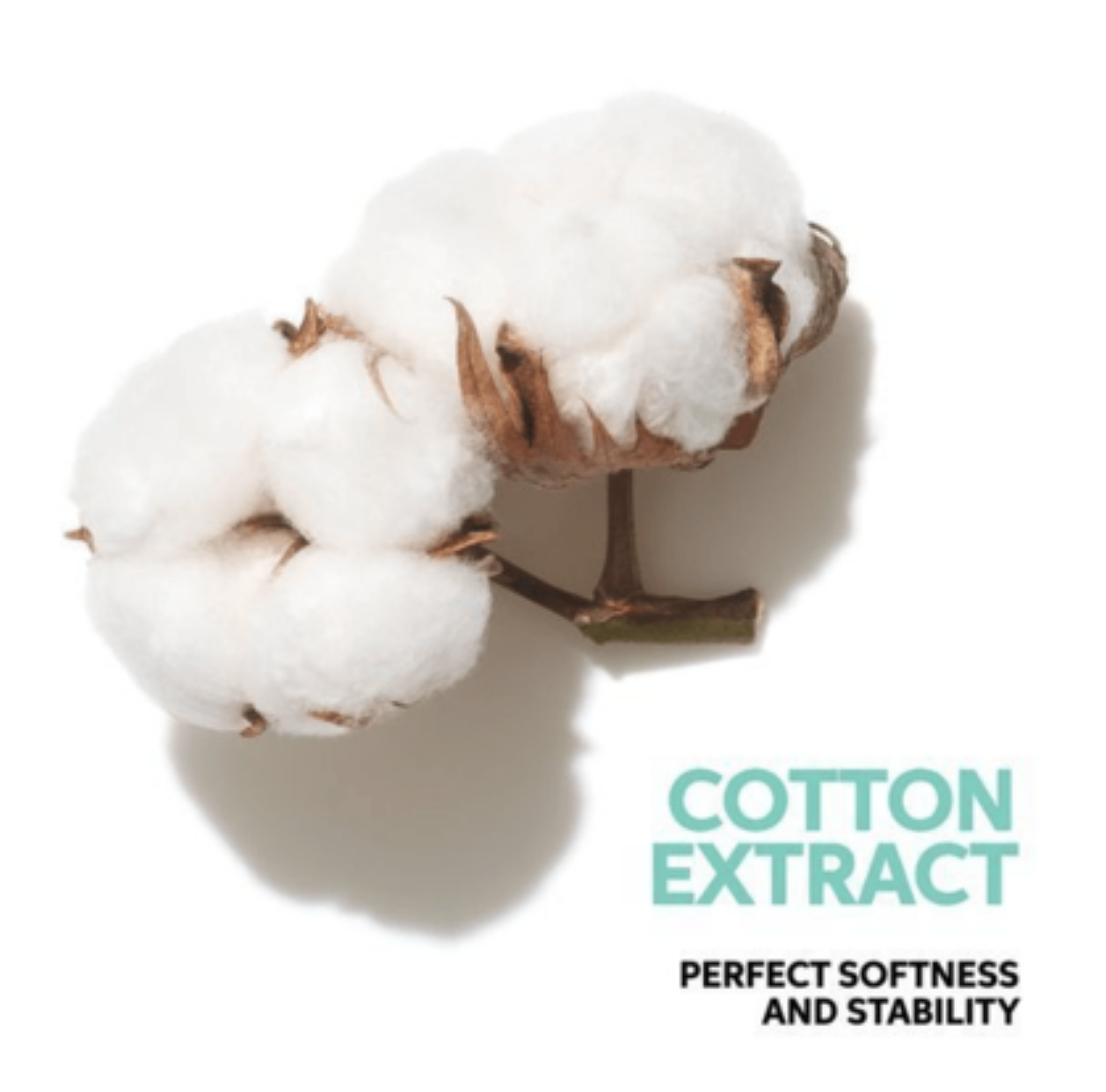 Wella Invigo Volume Boost Uplifting Care Spray - cotton extract