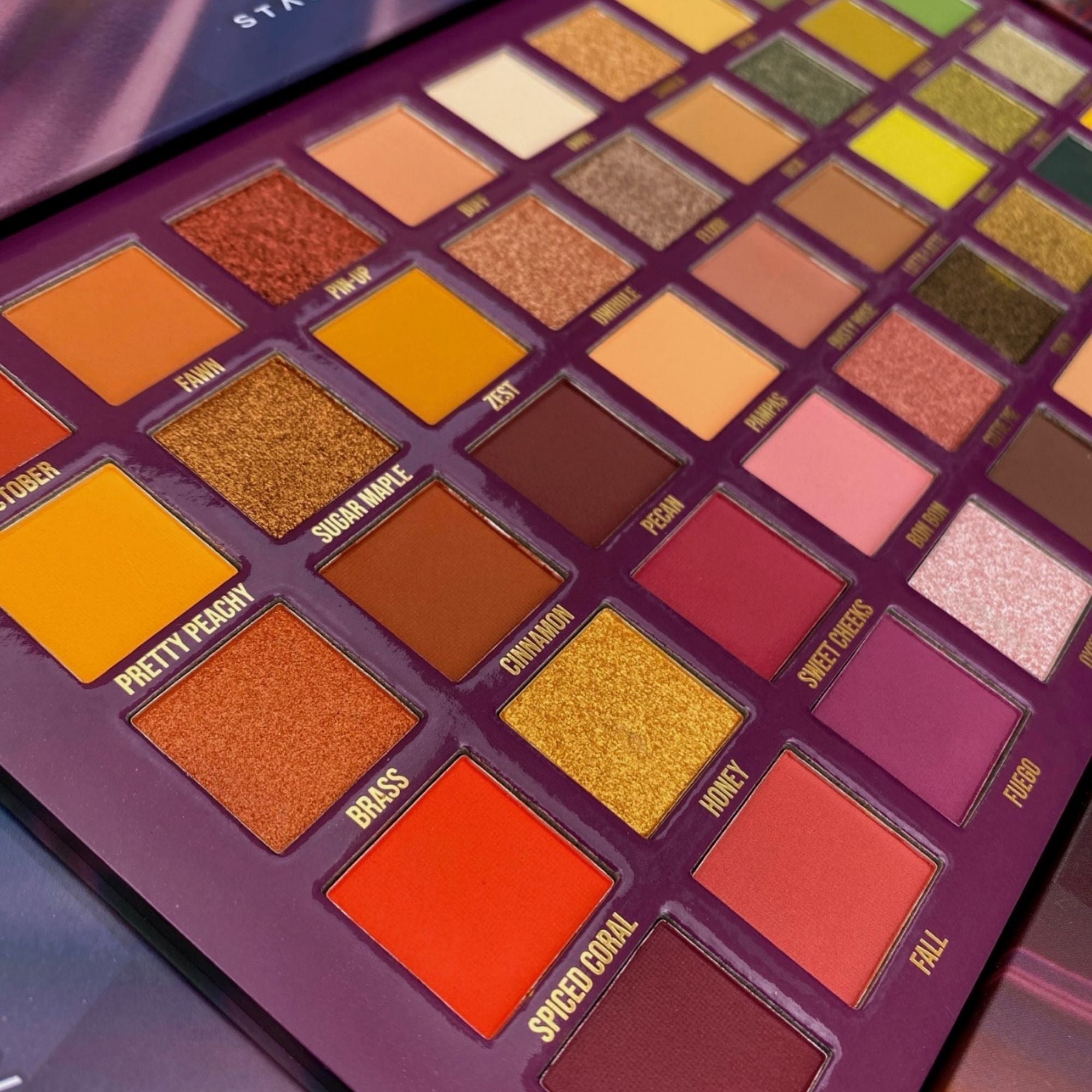 bPerfect X Stacey Marie CARNIVAL IV – The Antitode Palette, close up