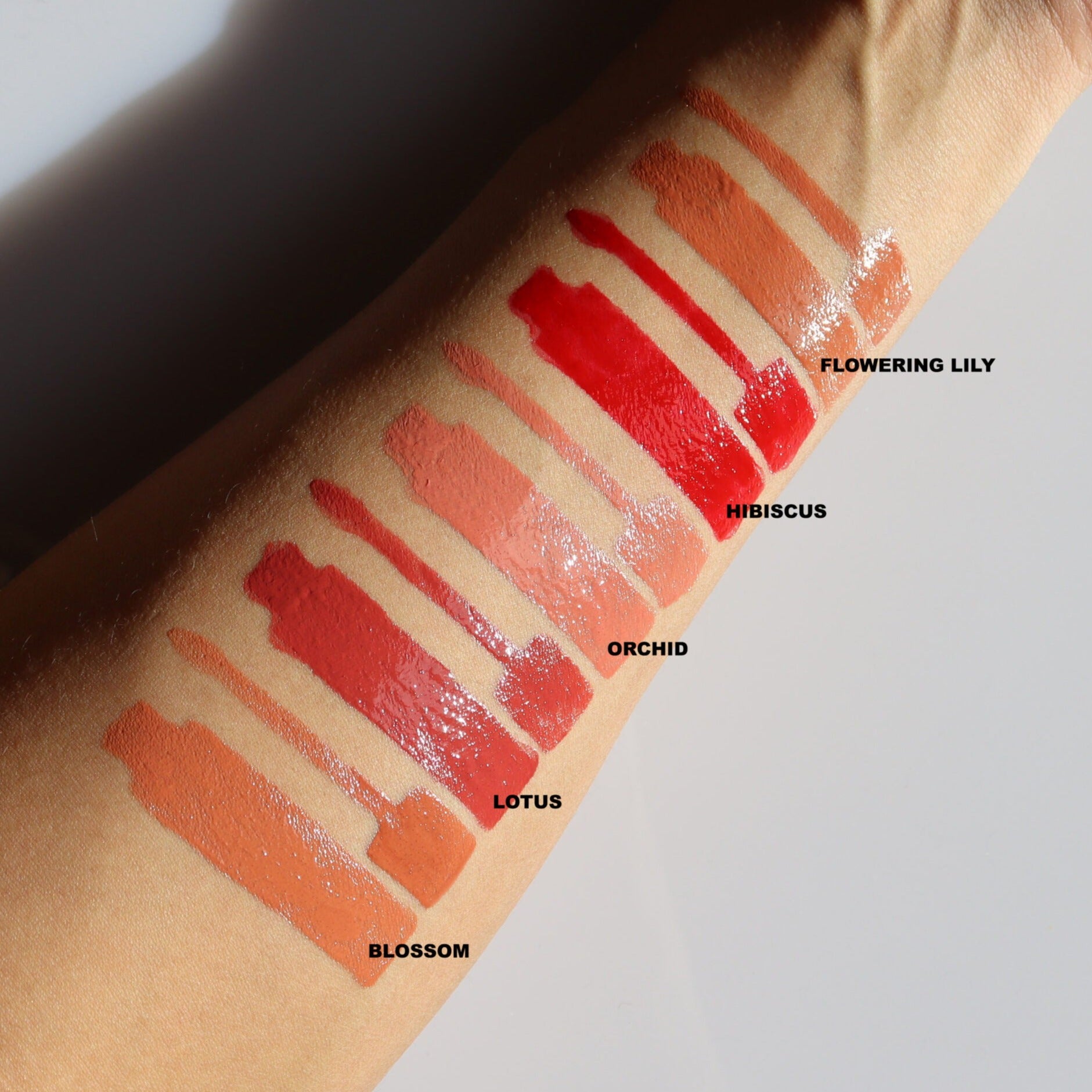 Dominic Paul Lip Glaze - swatches