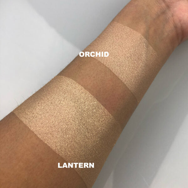 DOMINIC PAUL Custom Highlighter swatches